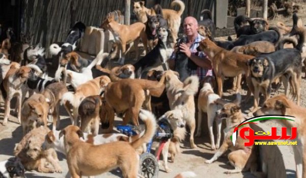  بريطاني يتخلى عن عمله ويسافر إلى طنجة للعيش رفقة 150 كلباً في غرفة.. | موقع سوا 