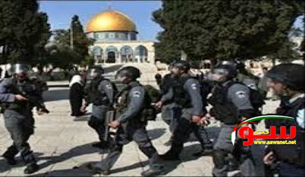 الاحتلال يعتقل أحد حراس الأقصى و5 شبان في القدس | موقع سوا 