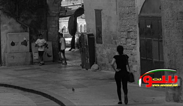 الناصرة: نرفض شركة تطوير عكا ذات الأجندة الصهيونية | موقع سوا 