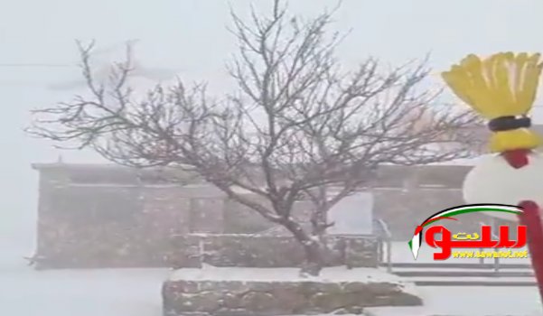 ** تراكم الثلوج في جبل الشيخ شمال فلسطين المحــتلة** | موقع سوا 