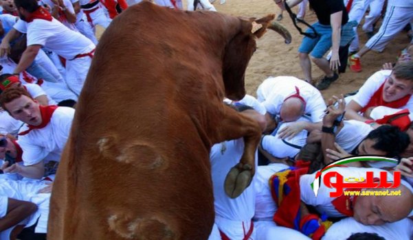 إسبانيا تفرض حظرا على قتل الثيران | موقع سوا 