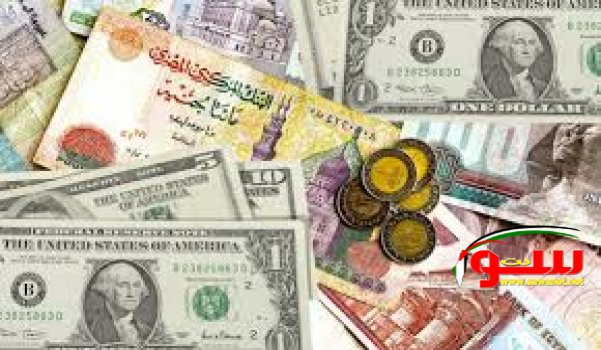 البنك المركزي المصري يعلن تعويم الجنيه | موقع سوا 