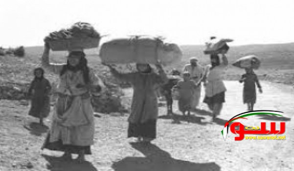 هارتس تكشف :هكذا اغتصب جنود الاحتلال وقتلوا بنات فلسطين منذ عام 1948 | موقع سوا 