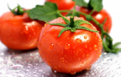 الطماطم تقي من آثار شيخوخة الجلد والتجاعيد | موقع سوا 