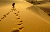 تفسير حلم المشي في الصحراء | موقع سوا 