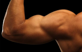 أسرع طريقة لتقوية عضلات الذراعين | موقع سوا 