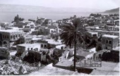 قرية الشيخ مونس | موقع سوا 