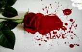 قصة حب مكتوبة بالدم  | موقع سوا 