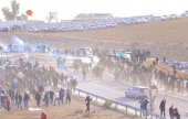 اعتقال عدد من المتظاهرين ضد تجريف وتحريش الأراضي في عرب الأطرش بالنقب | موقع سوا 