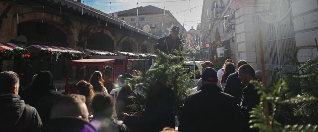توزيع شجيرات السرو, وتزيين العاصمة بمناسبة عيد الميلاد | موقع سوا 