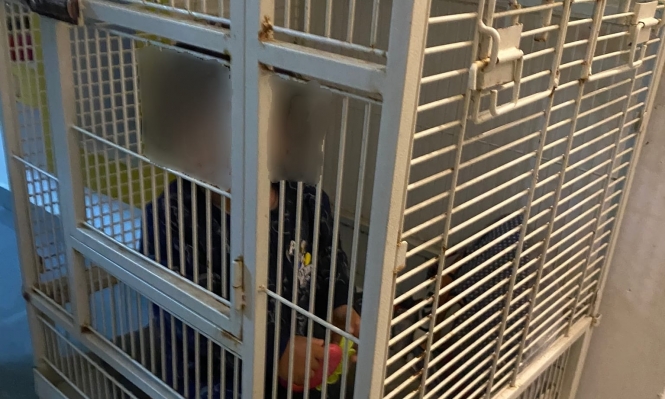 حيفا: اعتقال مشتبهة بتقييد رضيعها وحبسه في قفص حديدي | موقع سوا 