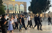 مستوطنون إرهابيون يقتحمون باحات المسجد الأقصى تحت حماية الجيش والشرطه الصهيونية | موقع سوا 