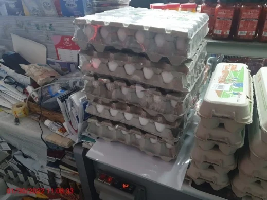 مصادرة نحو 800 بيضة من السوق البلدي في مدينة عكا | موقع سوا 