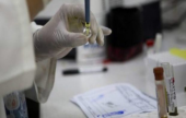 تسجيل 14 حالة إصابة بفيروس “زيكا” في إسرائيل | موقع سوا 