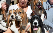 انجاب أول كلاب «أنابيب» في العالم | موقع سوا 