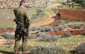 قرار إسرائيلي بمصادرة 36 دونمًا زراعيًا لدواعٍ أمنية | موقع سوا 