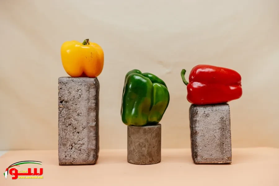 قدرات هائلة غير متوقعة ,, فوائد الفلفل الملون في تقوية المناعة