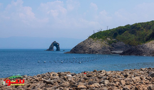 تعلن اليابان العثور على معادن نادرة داخل رواسب مستخرجة من أعماق البحر