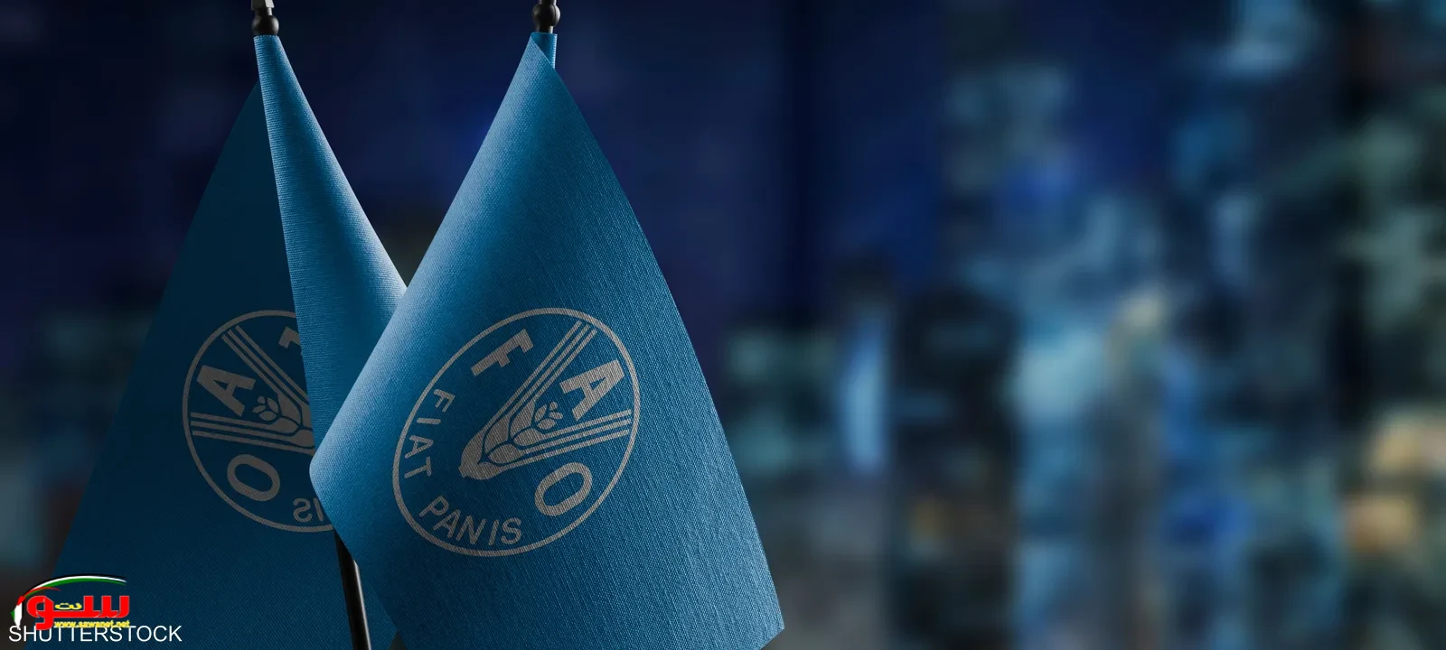 أسعار الغذاء العالمية واصلت التراجع في يناير , الفاو