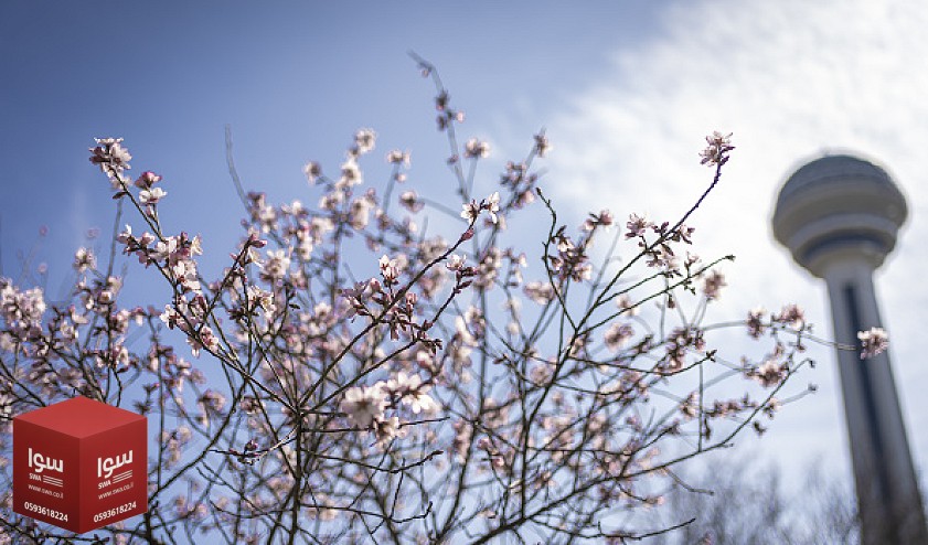 أمطار خفيفة وتحسن تدريجي بالأجواء