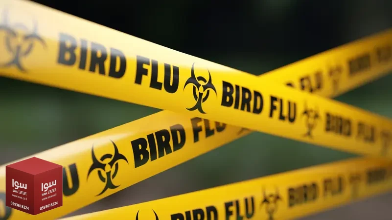 أول إصابة بشرية بإنفلونزا الطيور H9N2 في أوروبا.. هل نبدأ القلق؟